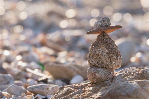 Balance in nature Photograph by Michael Goyberg - Pixels