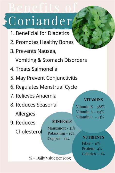 Health Benefits Of Mexican Coriander - health benefits