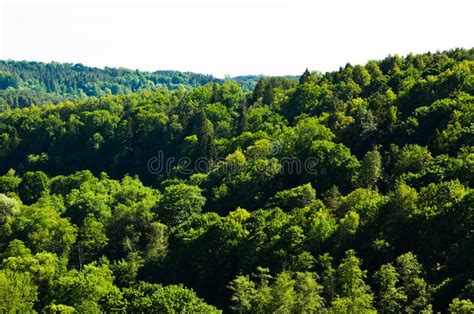 Eco green a park stock photo. Image of green, outside - 151351038