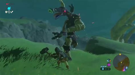 The Legend Of Zelda Breath of the Wild Fighting A Moblin On Nintendo Switch - YouTube