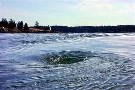 Old Sow Whirlpool - Bay of Fundy