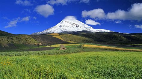 Download Mountain Nature Mount Fuji HD Wallpaper