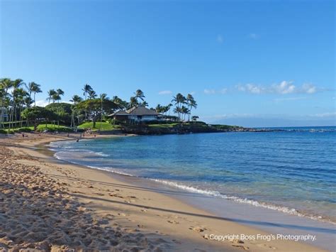 Kapalua Bay - Boss Frog's Snorkel, Bike & Beach Rentals