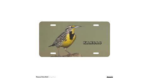 Kansas State Bird License Plate | Zazzle