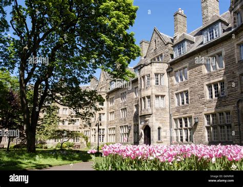 St andrews university halls hi-res stock photography and images - Alamy