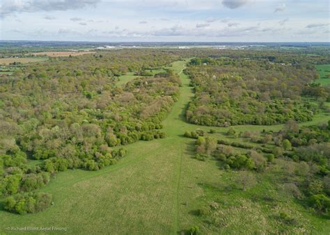 Hatfield Forest, April 2017 - Richard Elliott Aerial Filming