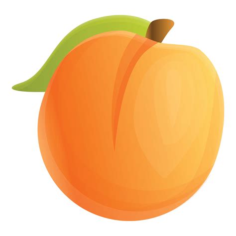 Fresh apricot icon, cartoon style 14184604 Vector Art at Vecteezy