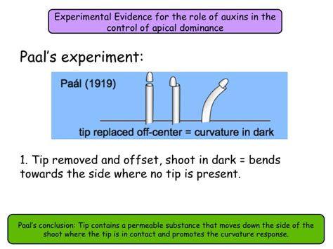 14.2 Plant growth factors NEW Year 13 Biology specification | Teaching Resources