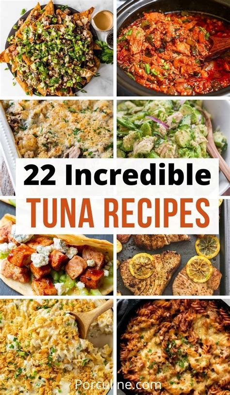 22 Incredible Tuna Recipes You Absolutely Will Love in 2022 | Healthy tuna recipes, Easy tuna ...