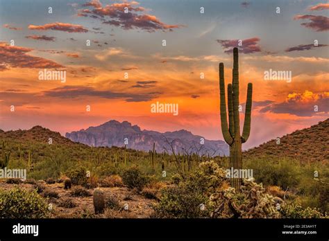 Sunset in the Sonoran Desert near Phoenix, Arizona Stock Photo - Alamy