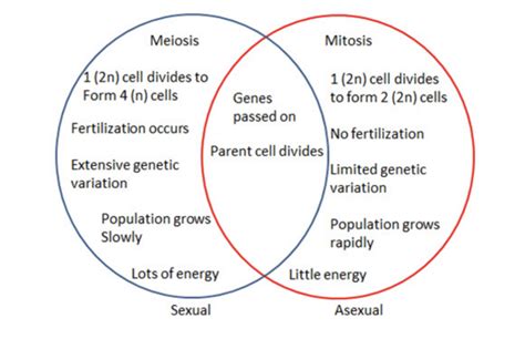 What Is Sexual And Asexual Reproduction In Plants - Printable Online