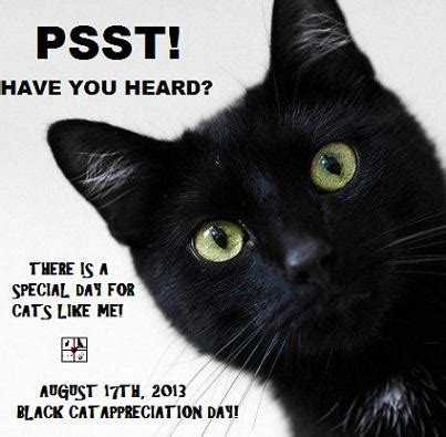 Black Cat Appreciation Day 2013 - Black Cat Awareness - Savvy Pet Care