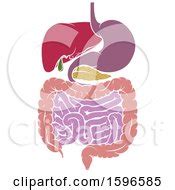 Royalty-Free (RF) Liver Clipart, Illustrations, Vector Graphics #1