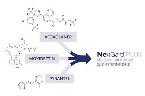 NexGard® PLUS All-In-One Parasiticide for Dogs | Boehringer Ingelheim