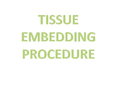 Tissue Embedding Procedure