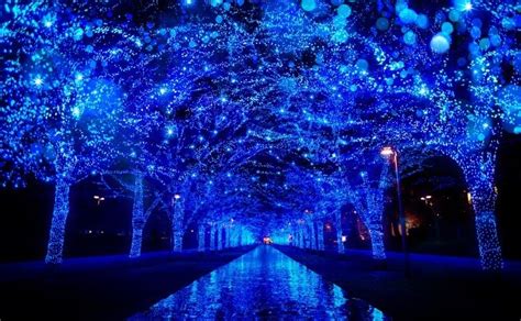 Top 3 Christmas lights in Tokyo become classics | A japper