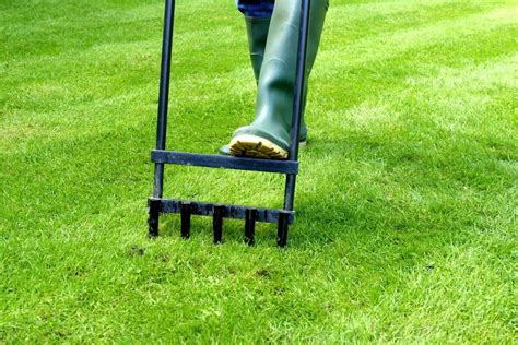 lawn care tools | Kellogg Garden Organics™