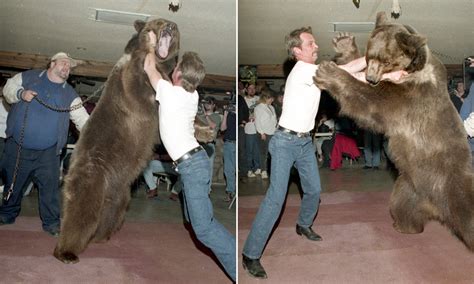 How To Wrestle A Bear / Indie Watch Bear Country Bear Bronson Bear Boulder / Jeff roth 1.030 ...