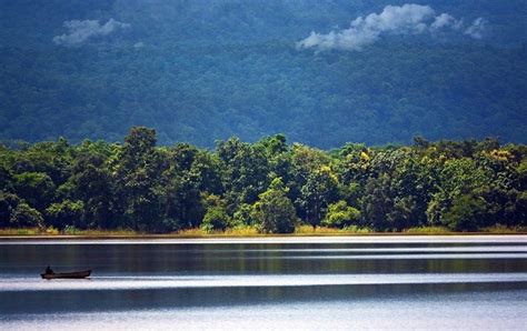 Things To Do In Satpura | How To Reach Satpura National Park