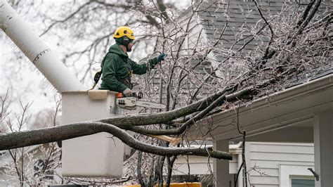 Michigan ice storm 2023: 700K without power, firefighter dead