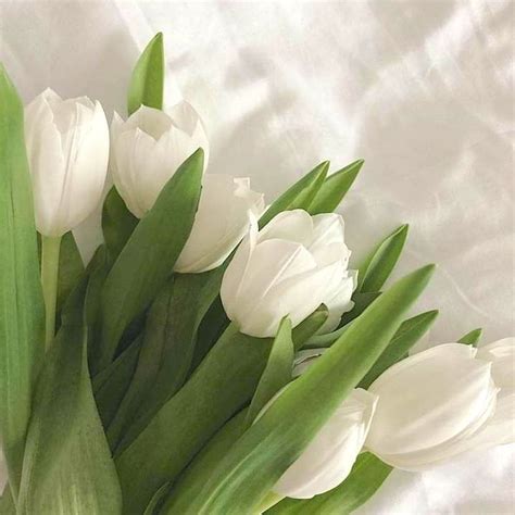 Lili Artificial Tulips in 2022 | Flower aesthetic, Nothing but flowers ...