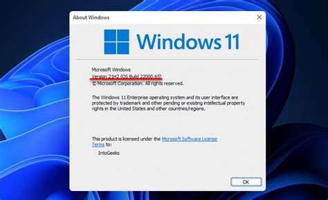 How to Update Windows 11 to Latest Version on Your PC?