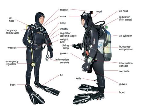 50+ Scuba Diving Equipment Names - niekdez