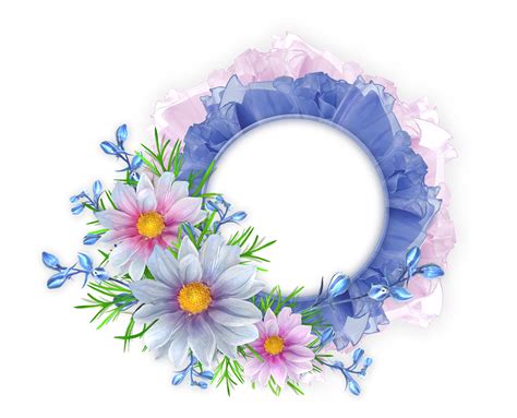 Floral frame PNG