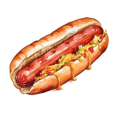 Sausage Fast Food Watercolor, Sausage, Watercolor, Hand Painting PNG Transparent Image and ...