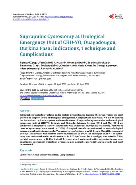 (PDF) Suprapubic Cystostomy at Urological Emergency Unit of CHU-YO, Ouagadougou, Burkina Faso ...