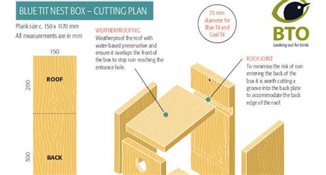 Make a nest box | BTO - British Trust for Ornithology