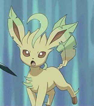 Female Eevee / Leafeon | Pokémon Amino