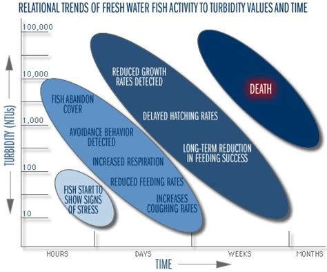 Learn More: Water Clarity - Lake County Water Atlas - Lake.WaterAtlas.org