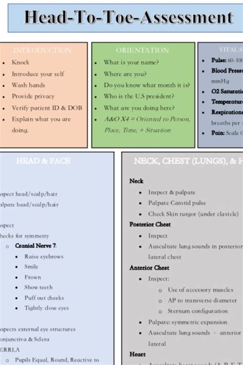 Head-To-Toe Assessment Guide Nursing Students Health | Etsy | Nursing assessment, Nursing school ...