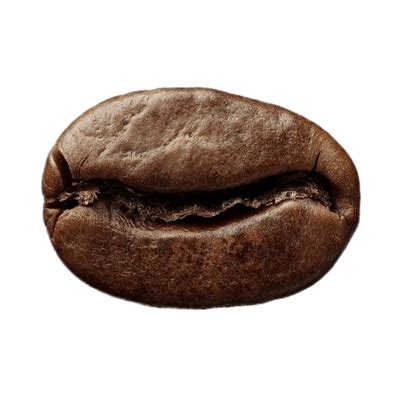 Single Roasted Coffee Bean transparent PNG - StickPNG