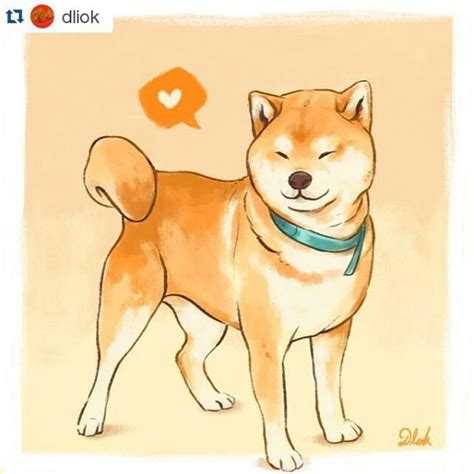 Doge Meme - Much Wow Dog - Funny Shiba Inu Meme