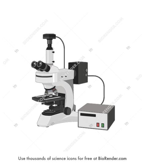 Free Fluorescence microscope Icons, Symbols & Images | BioRender