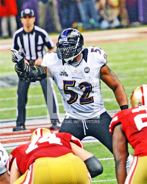 Baltimore Ravens leader Ray Lewis directs the Ravens defense - Gold ...