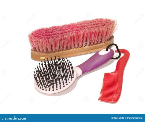 Horse grooming supplies stock image. Image of clean, hoof - 26310535