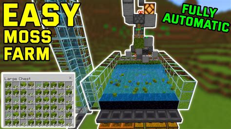 EASY & BEST MOSS Farm Minecraft 1.20+ (Bedrock/mcpe/ps4/xbox) - YouTube