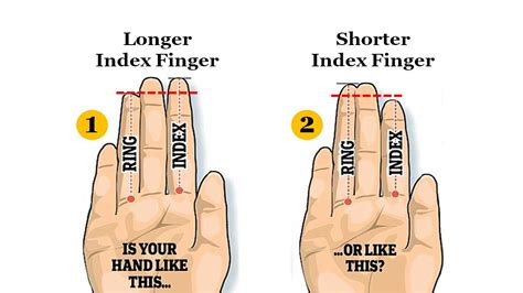 Personality Test: Your Index Finger Length Reveals Your Hidden Personality Traits