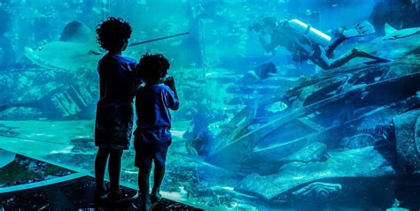 Dubai Aquarium | See the piece of Ocean at Dubai Mall Aquarium