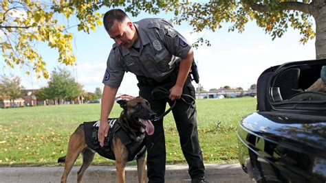 K-9 officer vests protect four-legged partners