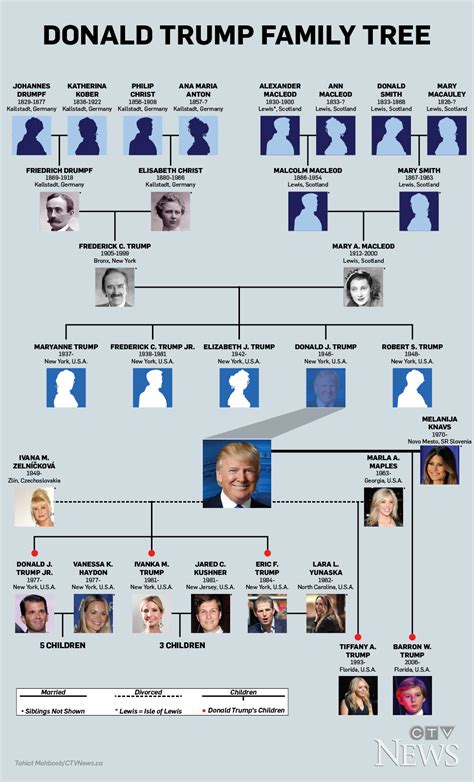 Donald Trump Family Tree | CTV News