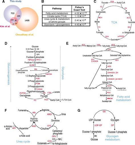 Regulation of Cellular Metabolism by Protein Lysine Acetylation | Science