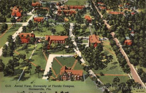 Aerial View University of Florida Campus | Florida pictures, University of florida, Aerial view