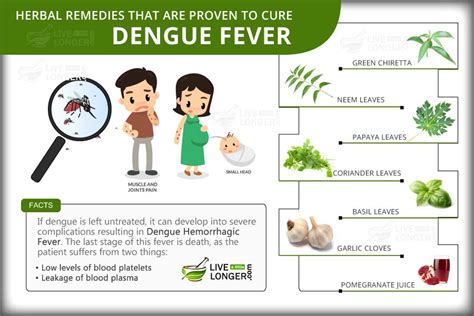 9 Great Home Remedies For Dengue Fever Treatment | LLL.Care