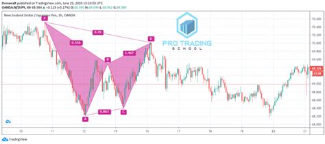 How to Trade the Gartley Pattern - Pro Trading School