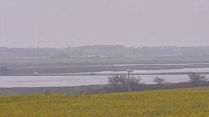 Webcam West Mersea, Mersea Island, Colchester, Essex, East of England ...