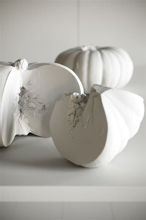 Pumpkin Harvest on Behance